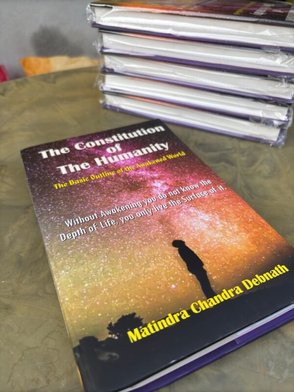 The Constitution of Humanity - Image 4